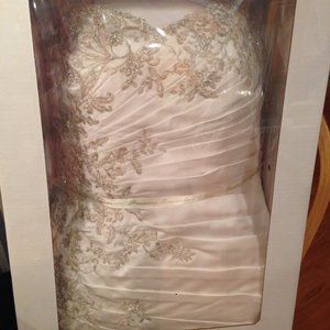 David's Bridals Wedding Dress